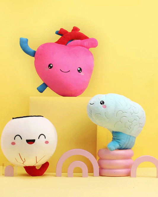 Heart, Brain, & Eye Bundle - Only Eyes for You - ABCmouse