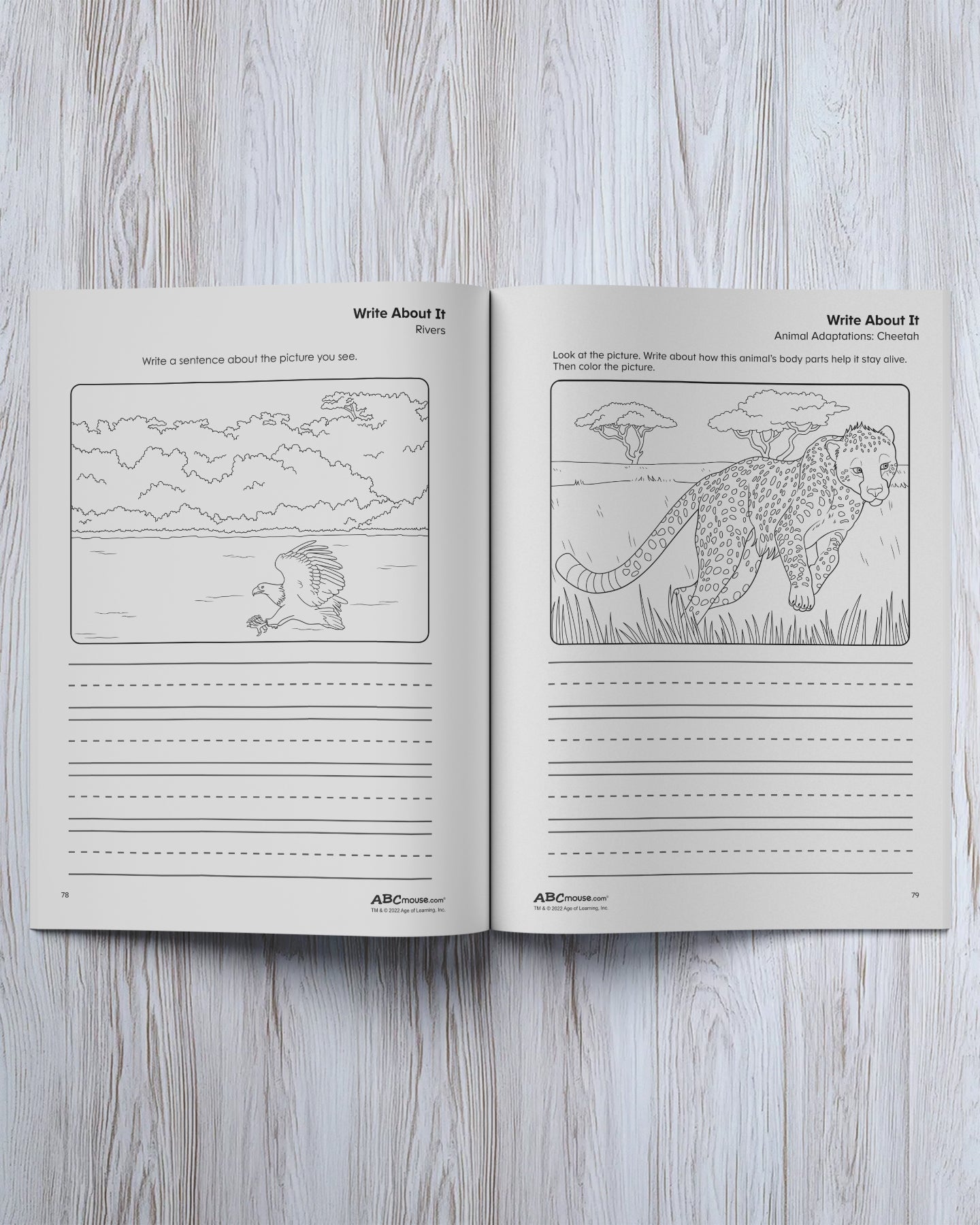 Writing: Sentence Practice Workbook - ABCmouse