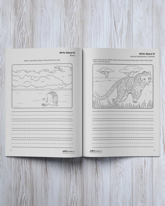 Writing: Sentence Practice Workbook - ABCmouse