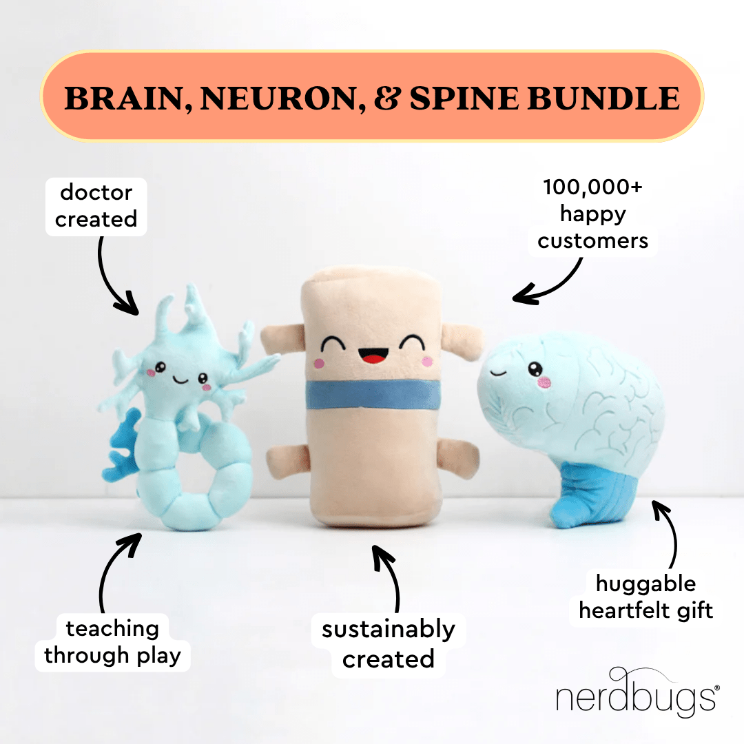 Brain, Neuron, & Spine Bundle - We Have A Connection - ABCmouse