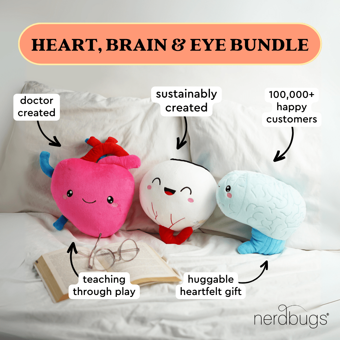 Heart, Brain, & Eye Bundle - Only Eyes for You - ABCmouse