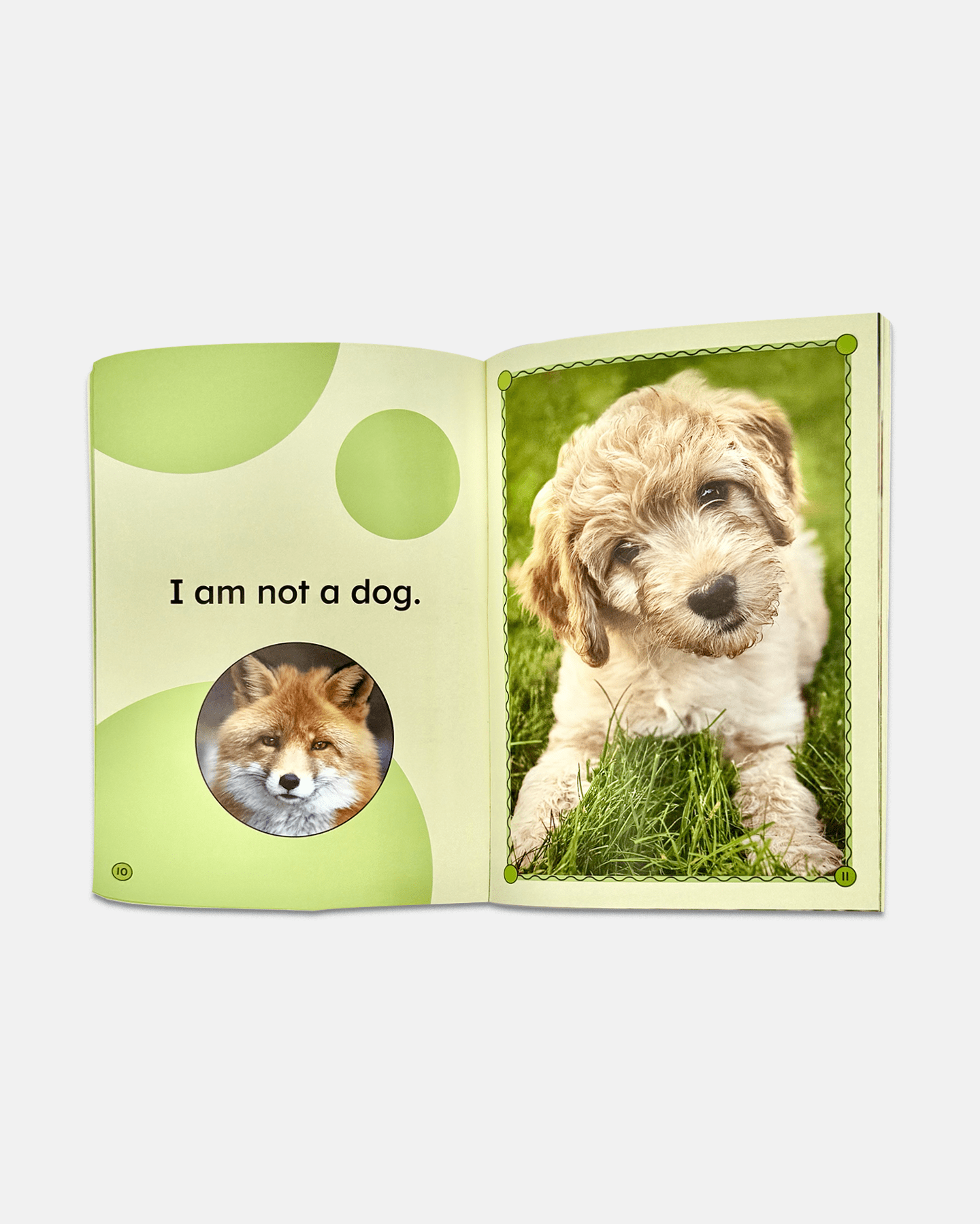 Step Readers Sample: I Am (Hardcover) - ABCmouse