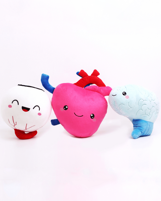 Heart, Brain, & Eye Bundle - Only Eyes for You - ABCmouse