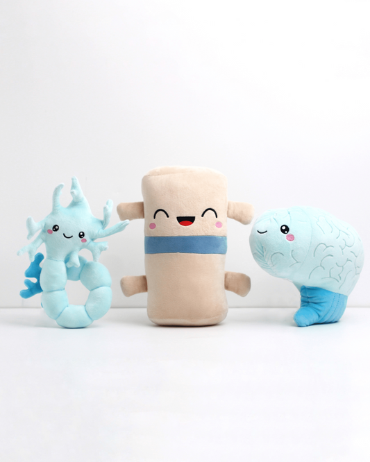 Brain, Neuron, & Spine Bundle - We Have A Connection - ABCmouse