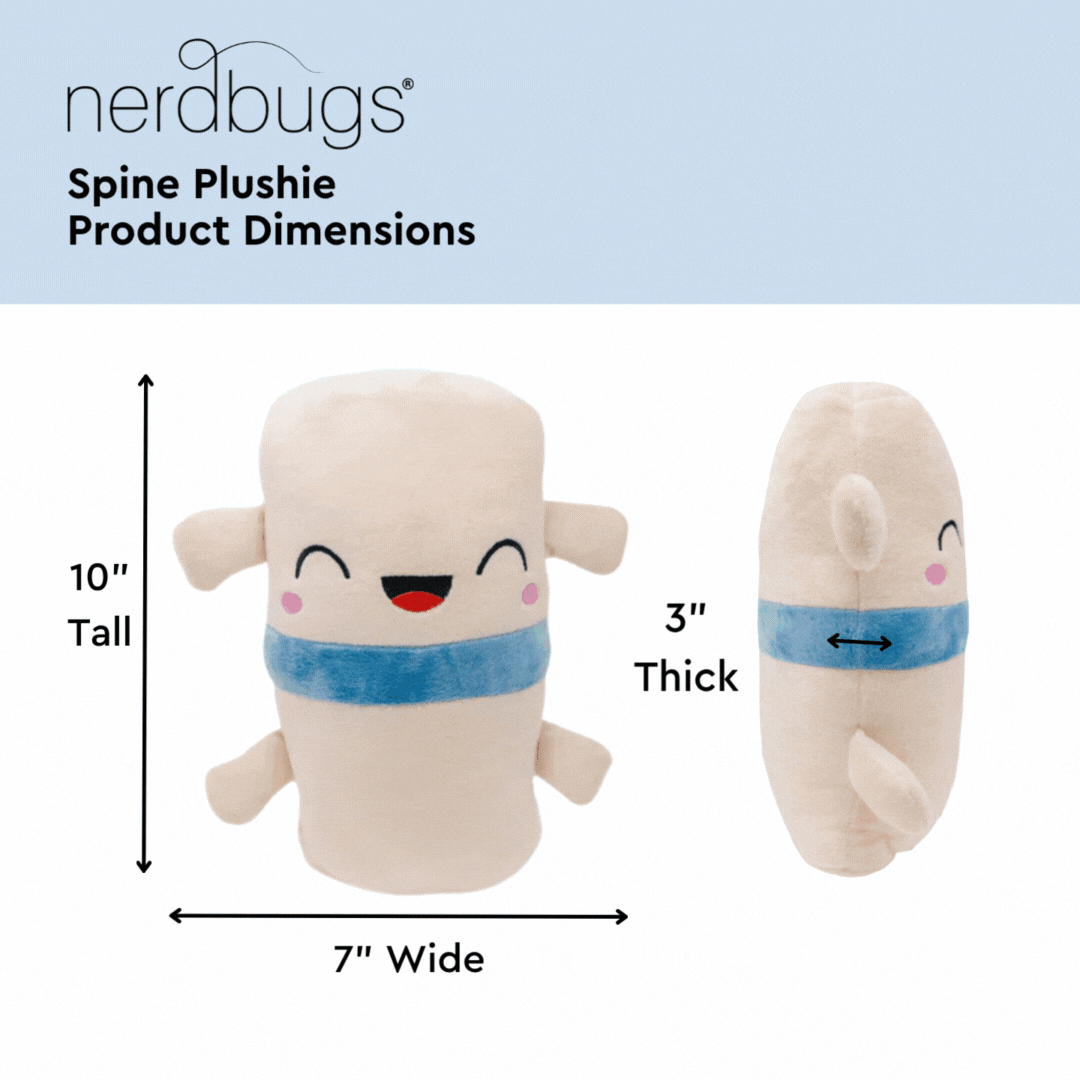 Brain, Neuron, & Spine Bundle- We Have A Connection