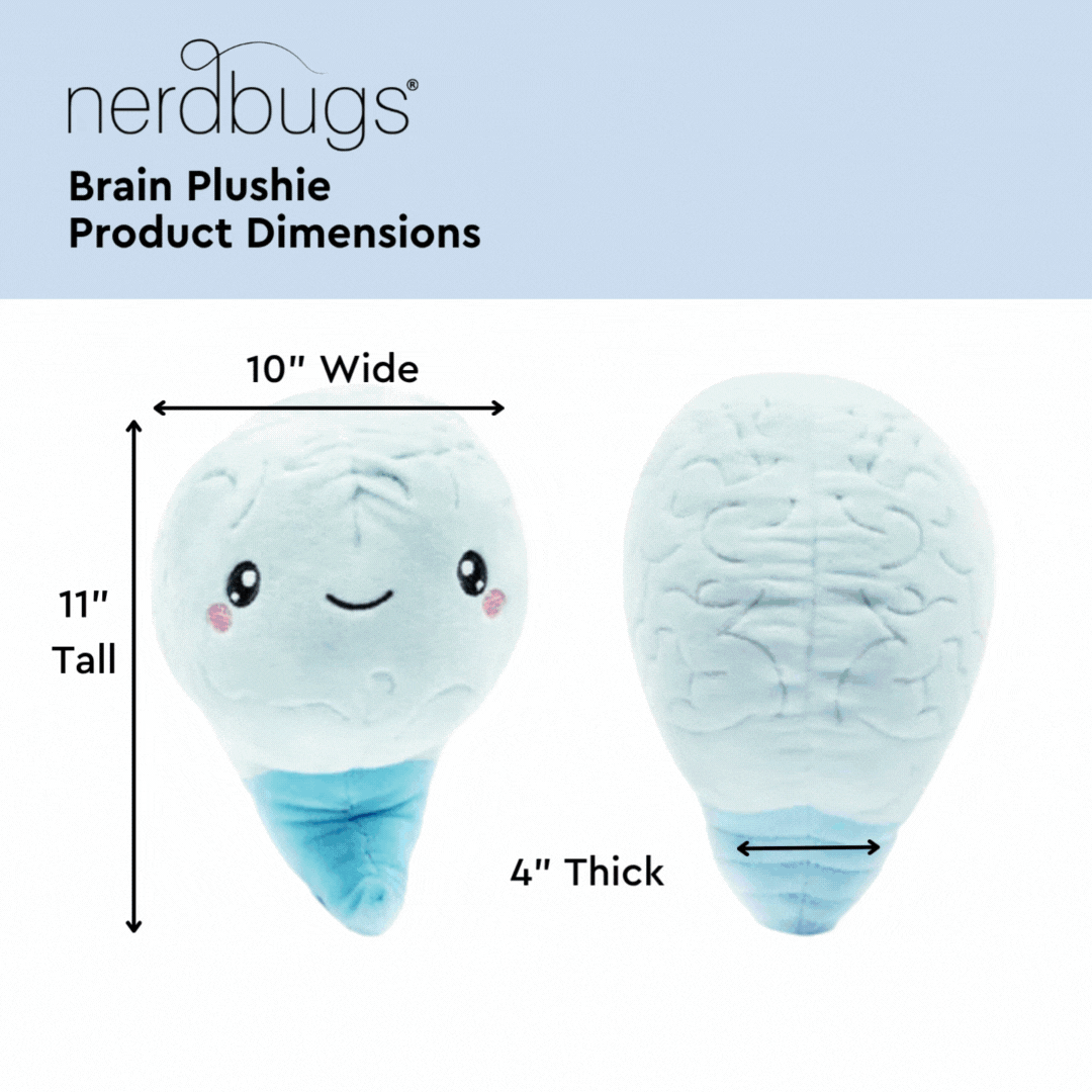 Heart, Brain, & Eye Bundle - Only Eyes for You