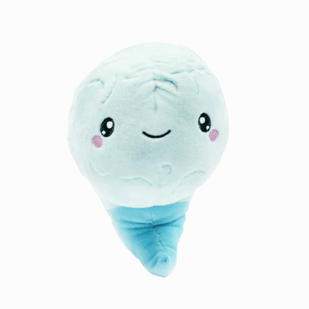 Brain, Neuron, & Spine Bundle- We Have A Connection