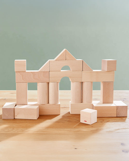 Basic Building Blocks 26 Piece Starter Set - ABCmouse