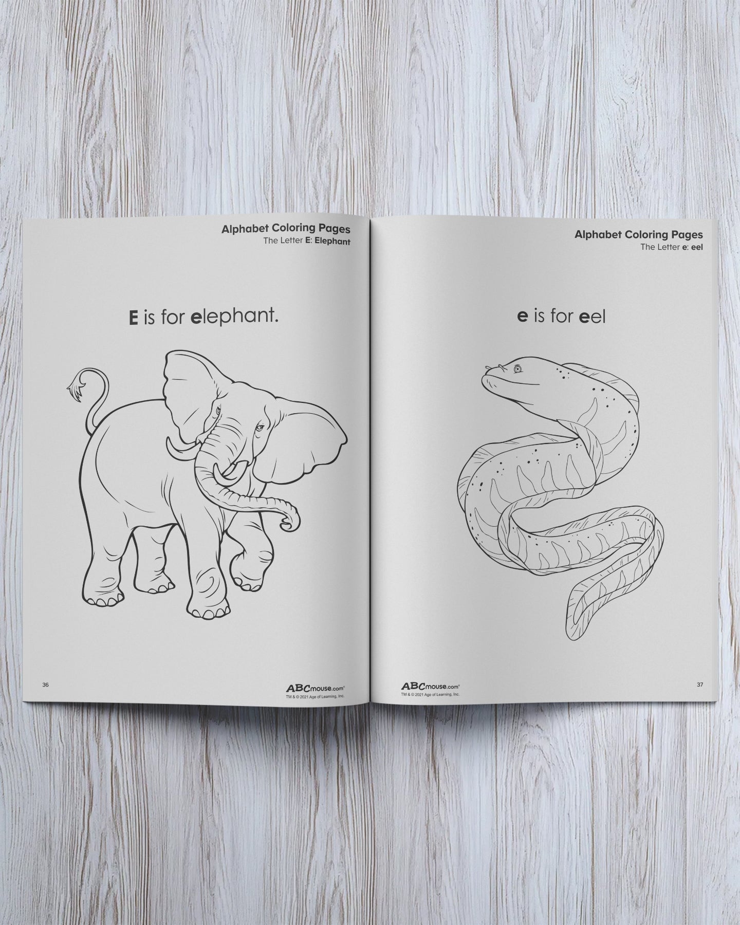 4 - in - 1 Kindergarten Workbook - ABCmouse