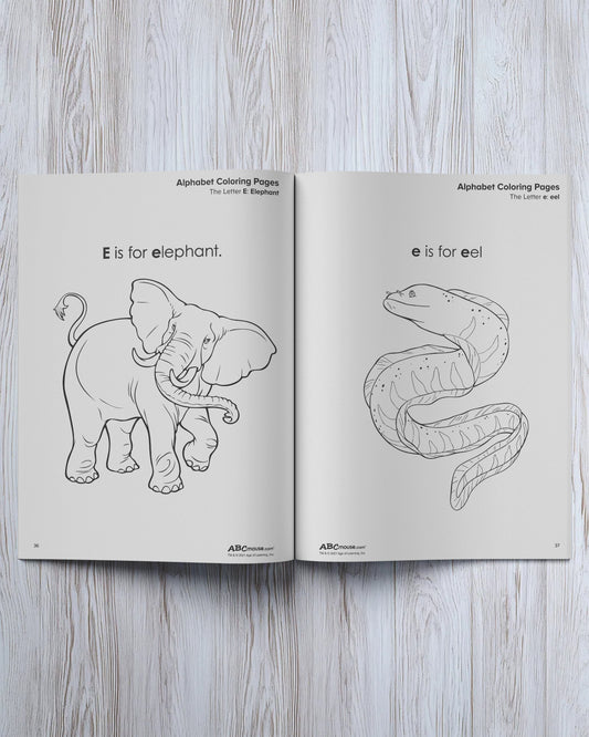 4 - in - 1 Kindergarten Workbook - ABCmouse