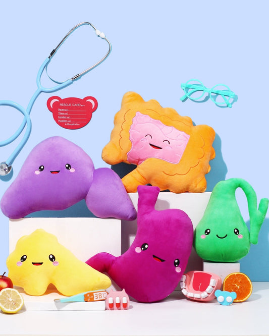 Digestive System Bundle - Smells Like Digestive Spirit - ABCmouse