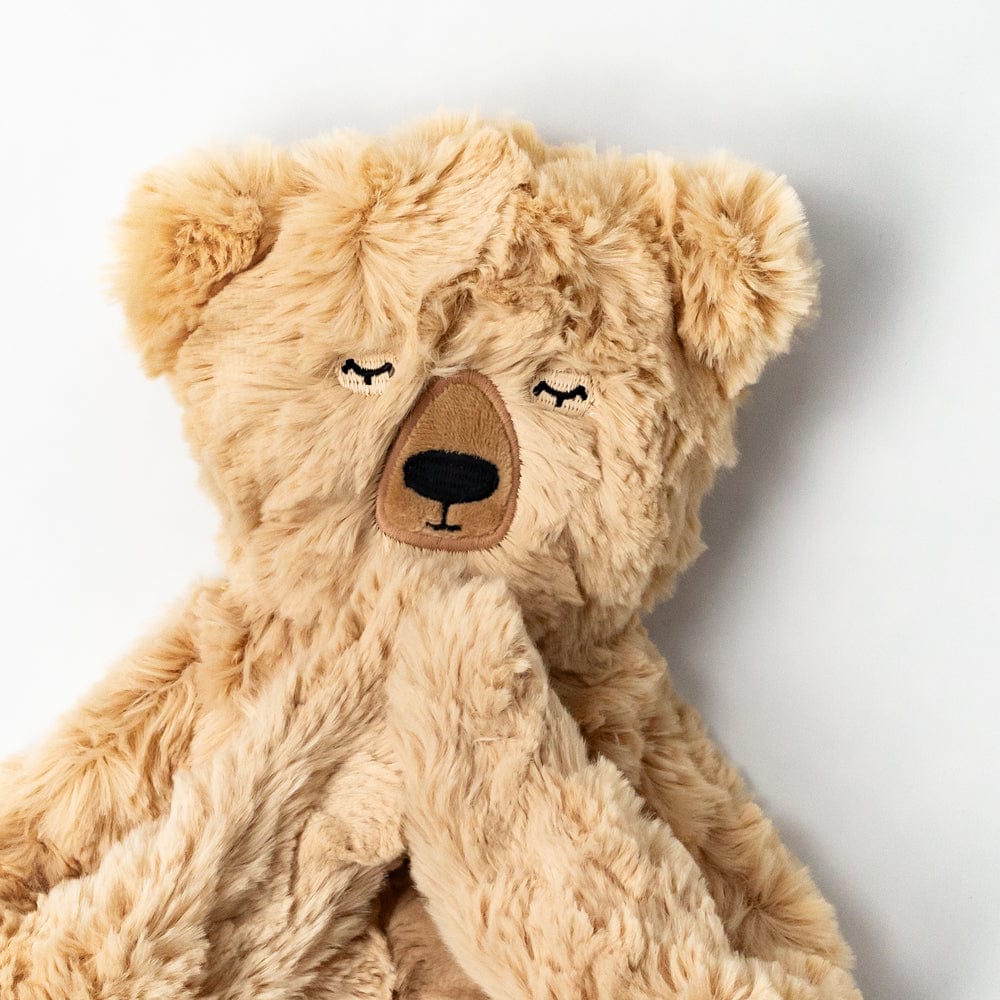 Honey Bear Snuggler - ABCmouse