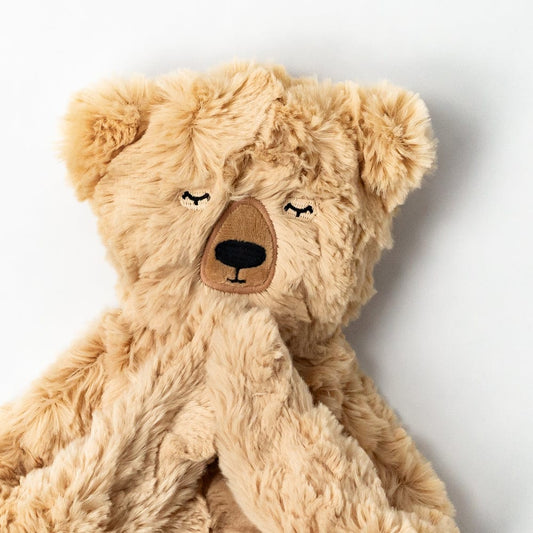 Honey Bear Snuggler - ABCmouse