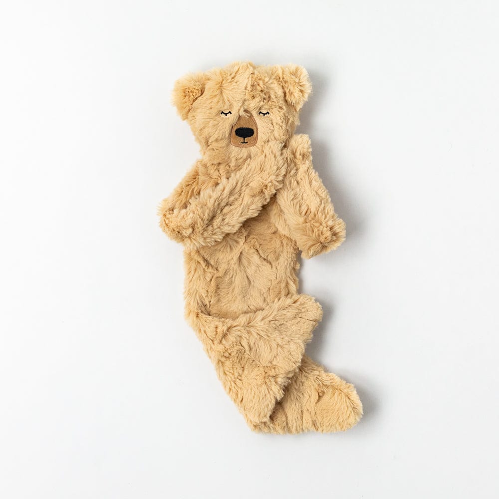 Honey Bear Snuggler - ABCmouse