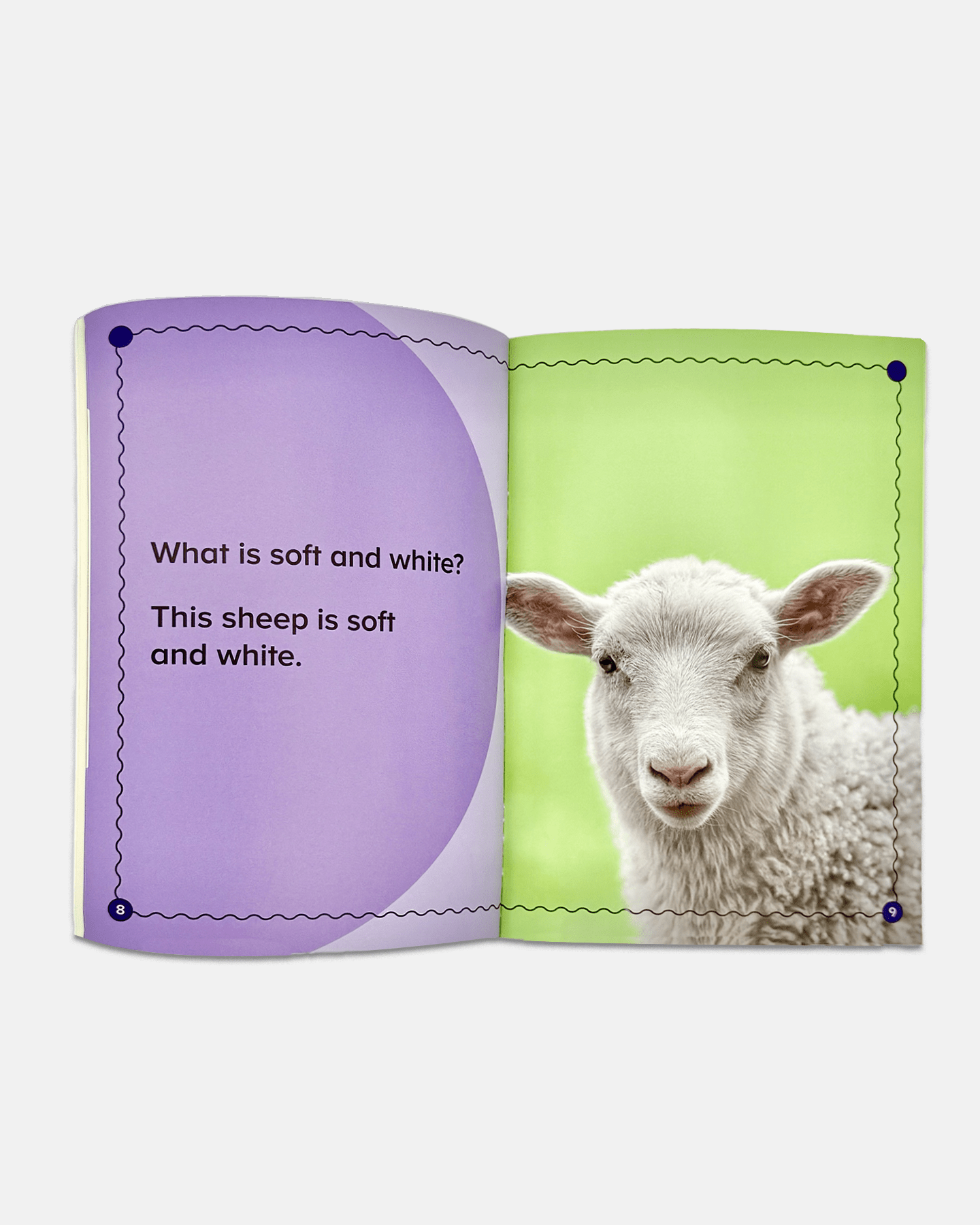 Step Readers Sample: What Is? (Softcover) - ABCmouse