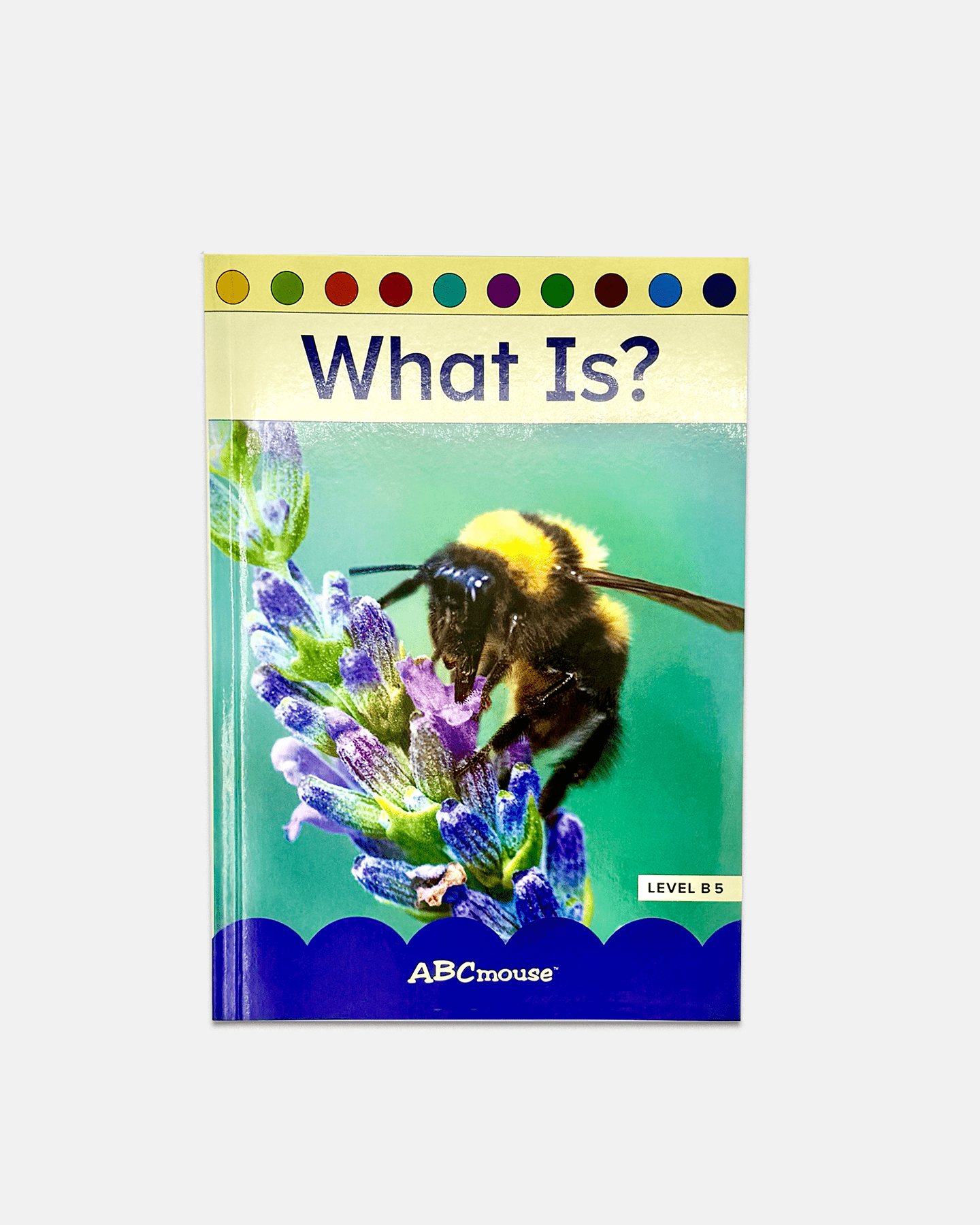 Step Readers Sample: What Is? (Softcover) - ABCmouse