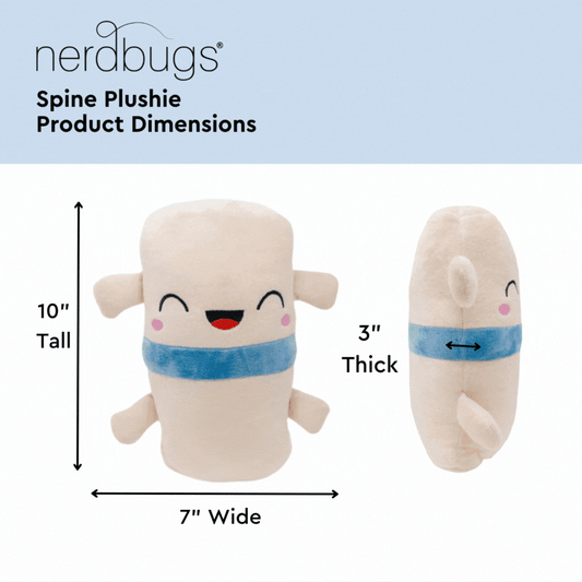 Brain, Neuron, & Spine Bundle- We Have A Connection
