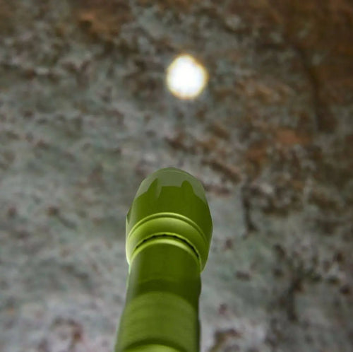 Terra Kids 4-Way Flashlight in use outdoors