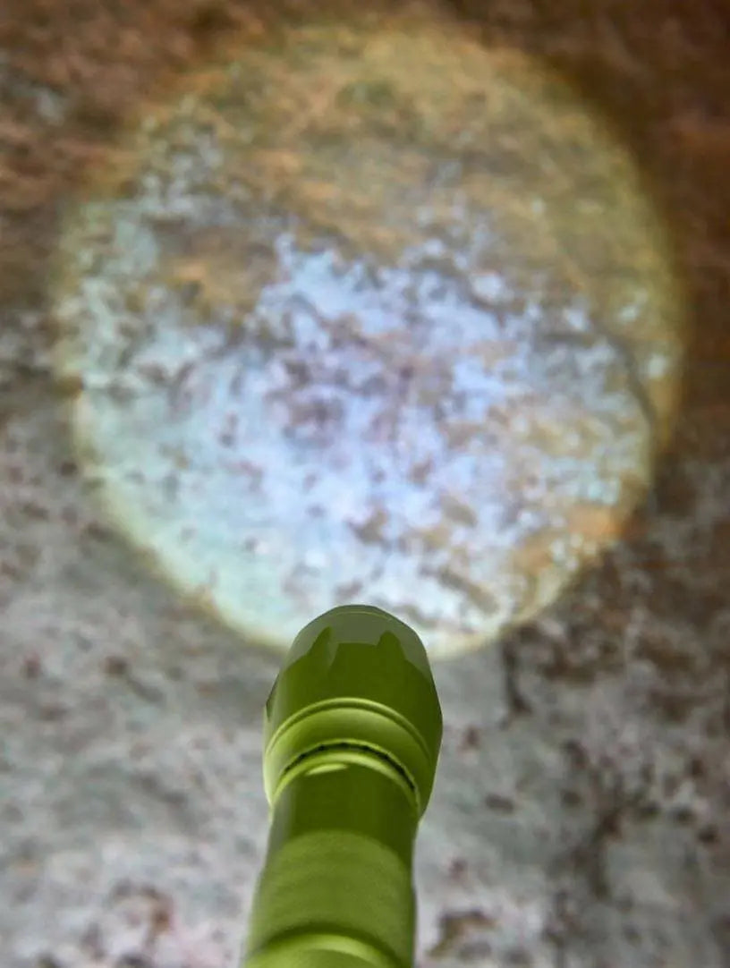 Terra Kids flashlight held in a child's hand