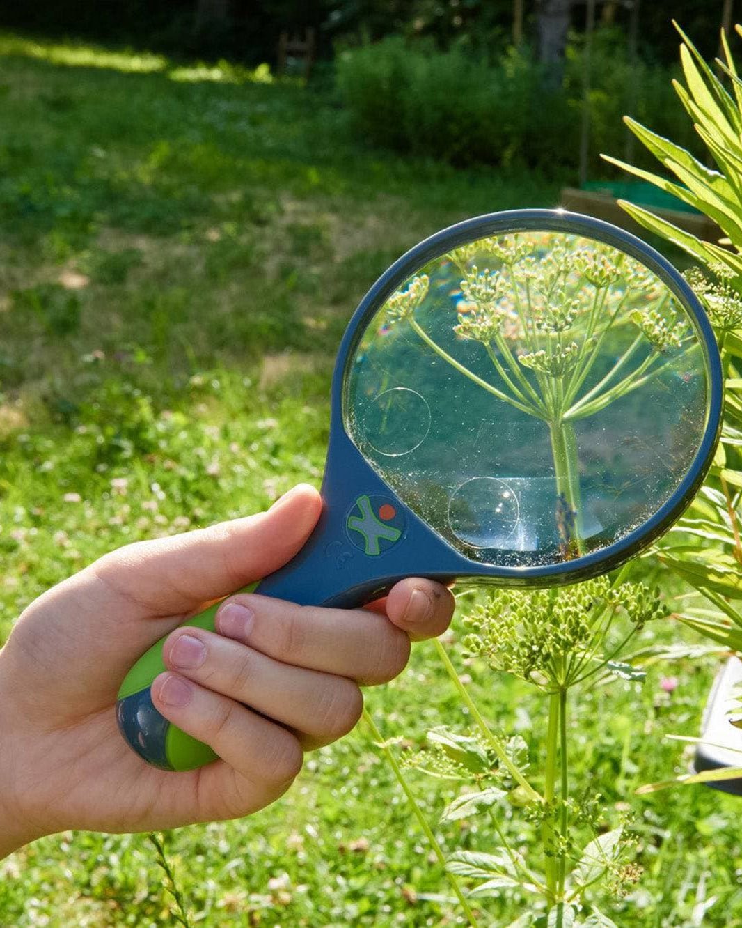 Terra Kids Magnifying Glass - ABCmouse