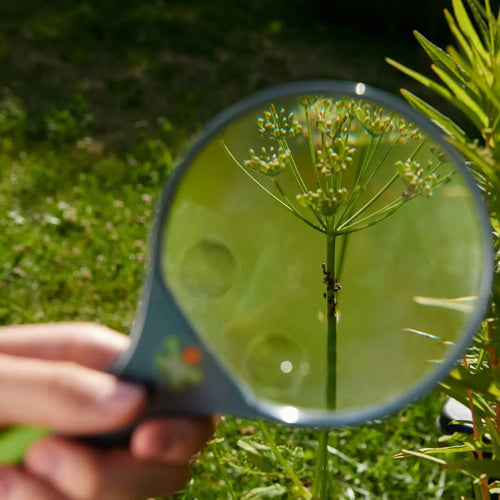 Terra Kids Magnifying Glass - ABCmouse