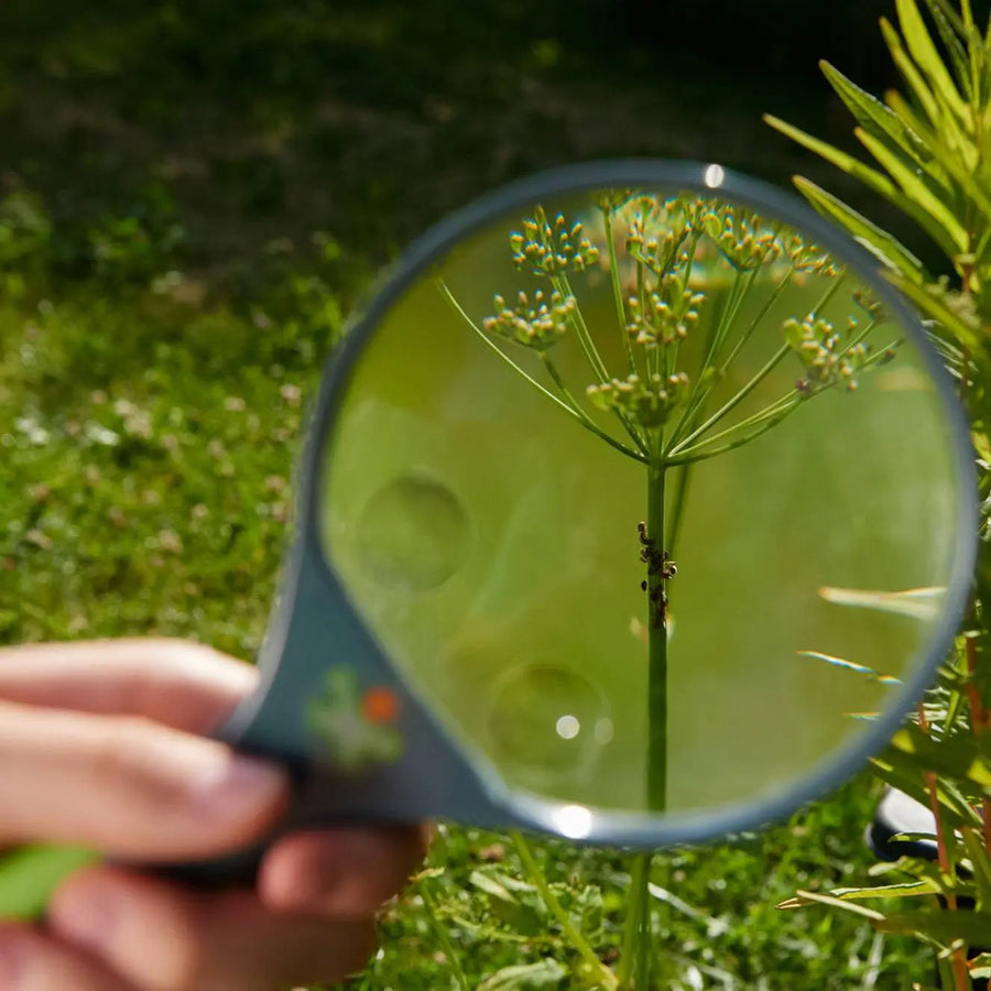 Terra Kids Magnifying Glass - ABCmouse